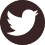 twitter-icon